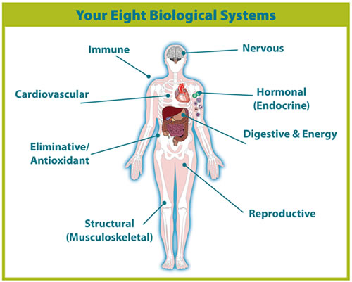 body_8_biological_systems.jpg